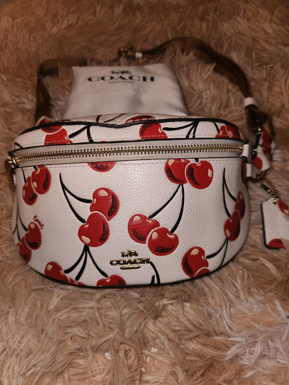 Coach☆ Leather Cherry Print Crossbody/ Belt Bag - Picture 3 of 11